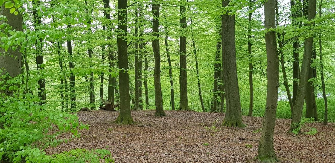 Ferienhaus Heide Bad Fallingbostel Exteriör bild